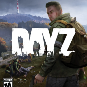 DayZ (PS4)