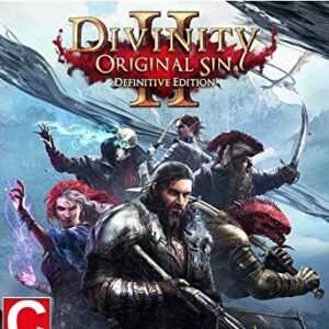 Divinity: Original Sin 2 - Definitive Edition (PS4)