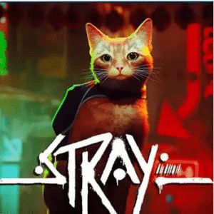 Stray (PS5)