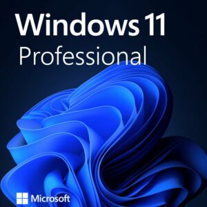 Microsoft Windows 11 Professional (OEM/Retail)